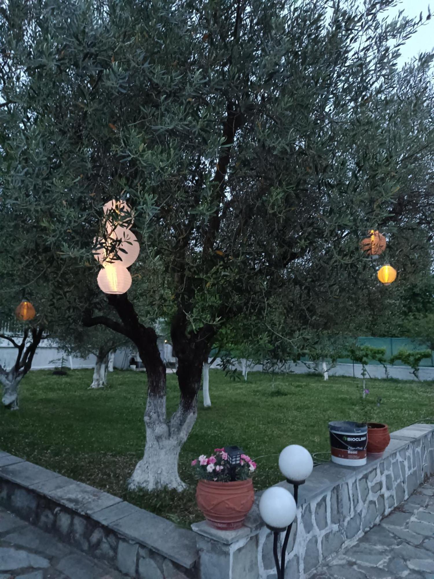 Pomegranate Tree House - Meteora Guest House Калампака Екстериор снимка