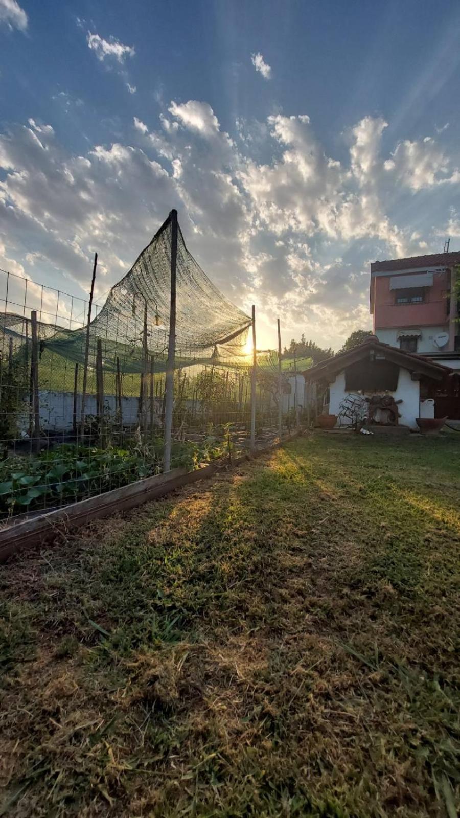 Pomegranate Tree House - Meteora Guest House Калампака Екстериор снимка