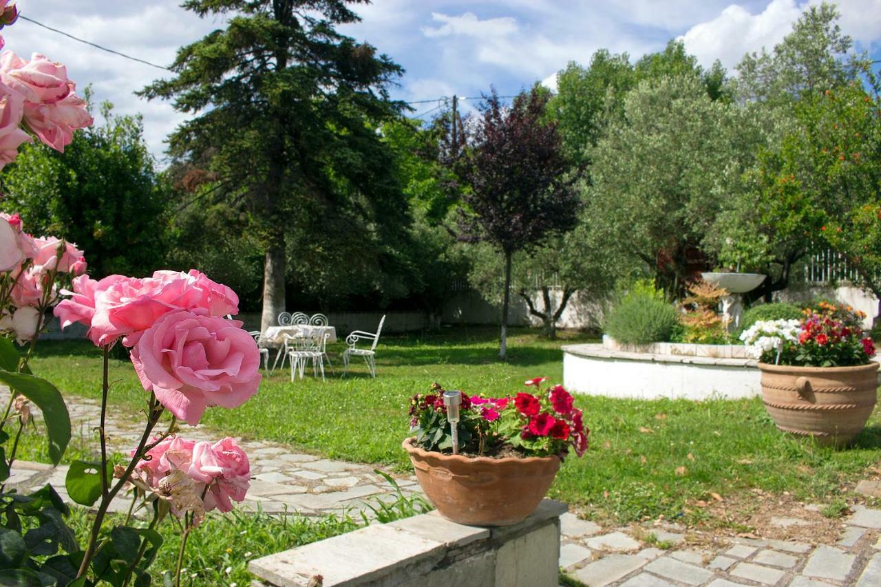 Pomegranate Tree House - Meteora Guest House Калампака Екстериор снимка